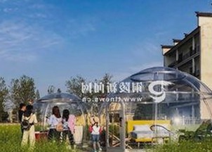 国产电影的“魅力密码”揭秘：市场策略背后的真相