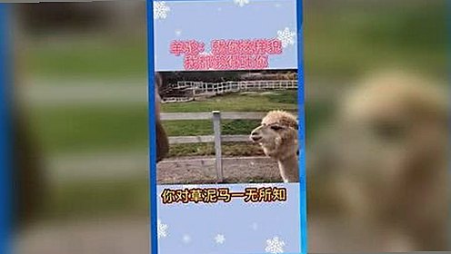 从默默无闻到焦点人物：周一围的娱乐圈逆袭之路